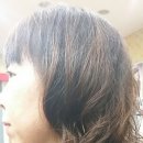 앨리스헤어샵