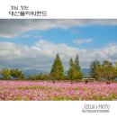 창원대산 티스토리