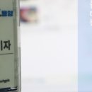 놀아줄개 이미지