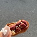 풍년땅콩과자