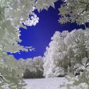 세상목장 이미지