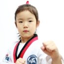 연세 남부 태권도장 이미지