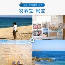 루디아의 테라스 | 묵호 1박2일 혼자여행 뚜벅이로 즐긴 코스 추천