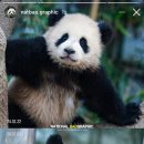 (주)바오