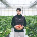 주식회사 그린팜스 이미지