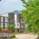 쁘띠독애견펜션 이미지