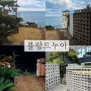 블랑드누아 민박 | 🏠제주도 공항주변 애월바다뷰 개인정원 &#34;블랑드누아&#34; 후기(에어비엔비)