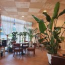 카페쉼표 이미지