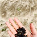 아모르 하우스 이미지