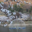 한장미아파트 네이버블로그