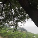 다랭이마을 안내소 앞 이미지