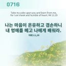 2016년 가해 연중제15주간 목요일 이미지