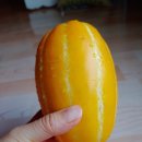 신일청과 이미지