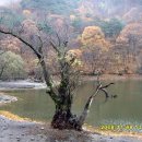 청학여행사 | [스크랩] 주왕산(`08. 11. 8)