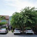 화랑가든 이미지