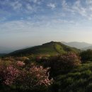 작가들의 고향 사진(차재하, 김소영) 이미지