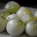 신창치과의원 네이버블로그