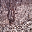 임실성미산성 이미지