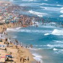 송지호 해수욕장 이미지