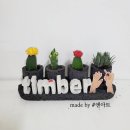 팀버네일