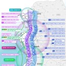 내셔널 메디칼 이미지