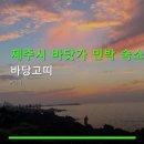 바당고띠