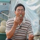 한씨농장 이미지