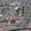 화순만연초 이미지