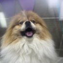 토곡동물병원 이미지