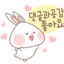 카카오즈 네이버블로그