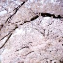 연한의원 - 구로구 구로동로 168 | 연한의원