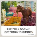 고고장구난타 (초급) | 남양주 체험농장 :) 주말에 뭐 할지 고민되시는 분들 안데르센 정원 고고!!!