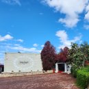 유쾌한주유소 | 11월 튀르키예 패키지여행 6일차 - ① 튀르키예 고속도로 휴게소 털기, 쇼핑 데이 패키지여행의 현실