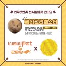 와우펫앤쥬 대구점 이미지