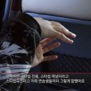 스타쉽엔터테인먼트 카카오 검색결과