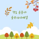 울산아지매집 이미지