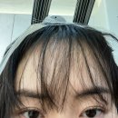 (주)지호 | 광흥창 미용실 히피펌 젤리펌 맛집 지호 선생님 추천 ❤️ 새벽살롱 솔직 후기