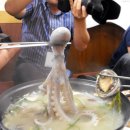 대구회센타