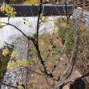 명일2동주민센터 이미지