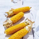 푸드라이프 이미지