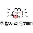고기품은쌈