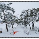 소성농장 이미지