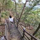 일미닭갈비 이미지