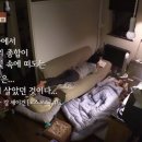 코스모스민박