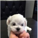 청구코아 상가 앞 이미지