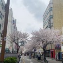 마로분식 | 성신여대 즉석떡볶이 | 배불리 먹는 두끼