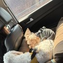 스테이화양연화 이미지