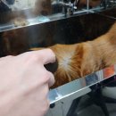 멍클스튜디오 이미지