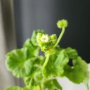 아랑농장 이미지