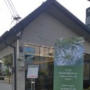 아베다더미라헤어